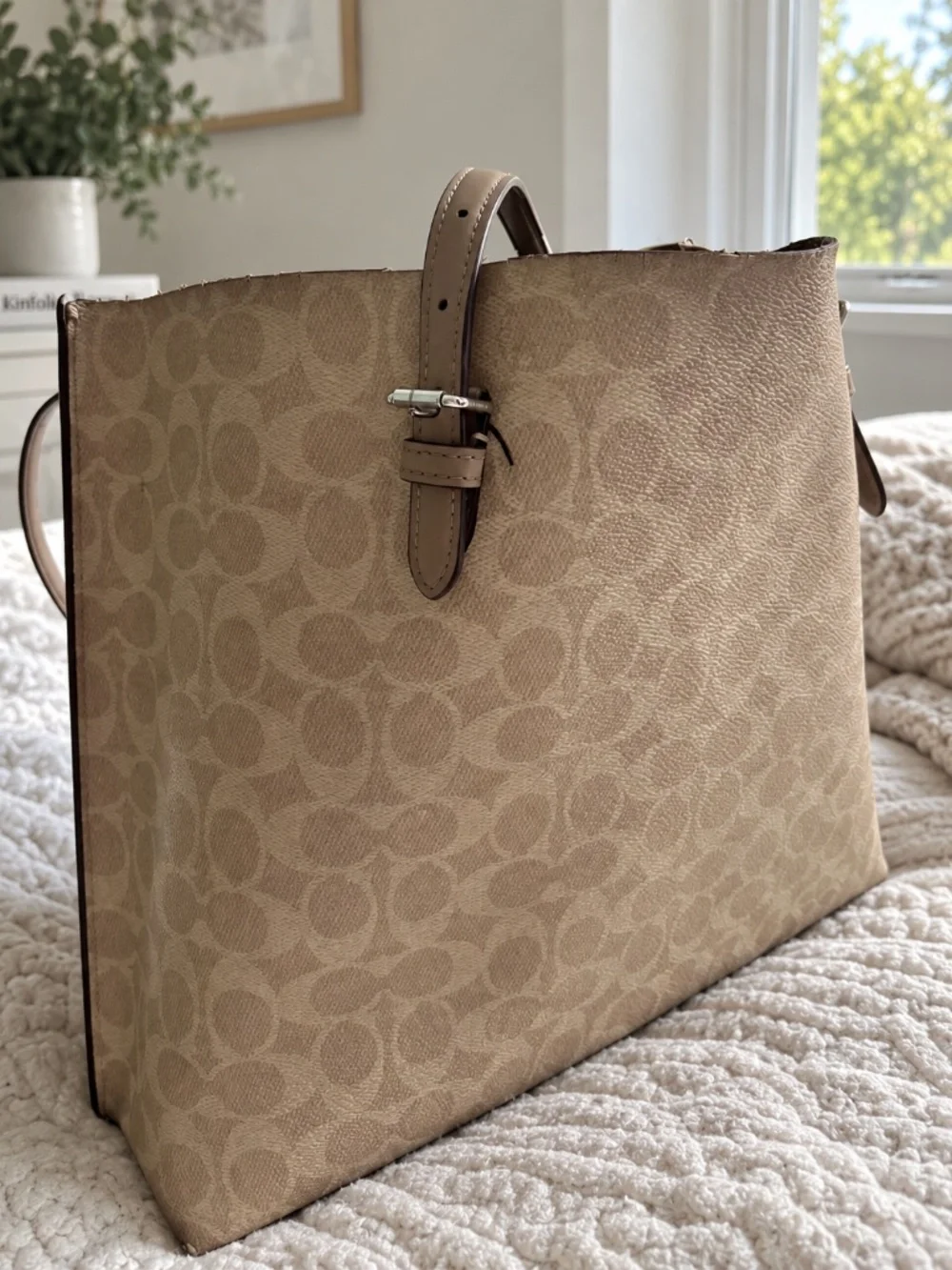 Mollie Tote Bag in Signature Canvas Style CV967